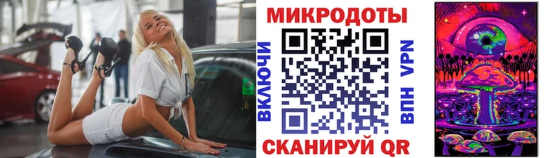 Купить закладки  Белый  Псилоцибиновые грибы Cubensis 